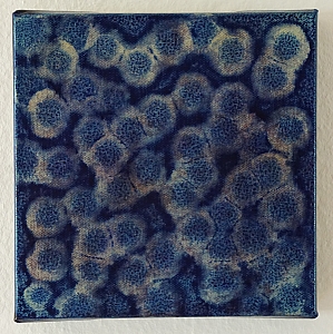 Hans Roth-Kunst-0073